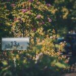 《今日开讲》视频直播精彩内容抢先看 5lt7io5