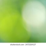 《健康之路》专家直播:开启您的健康生活指南 ny9hd369